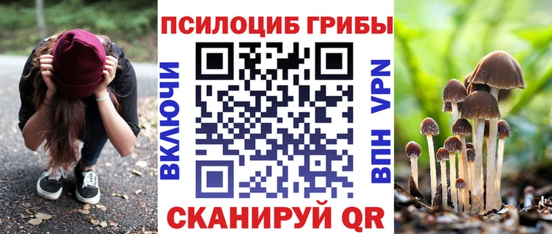 Псилоцибиновые грибы Psilocybe Купить Железногорск-Илимский